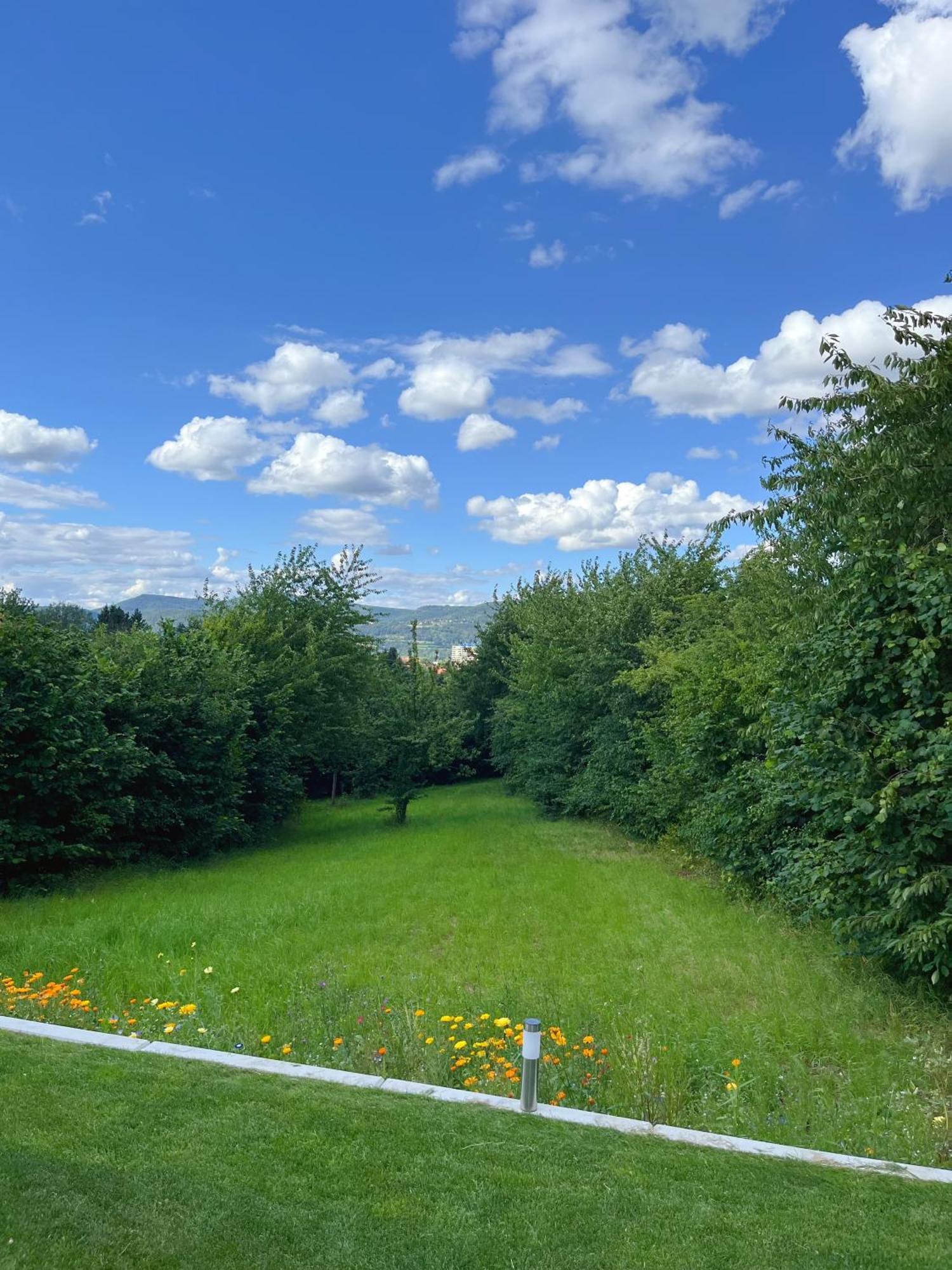 Neu Sanierte Wohnung Fuer 2-4 P Eschwege Exteriér fotografie